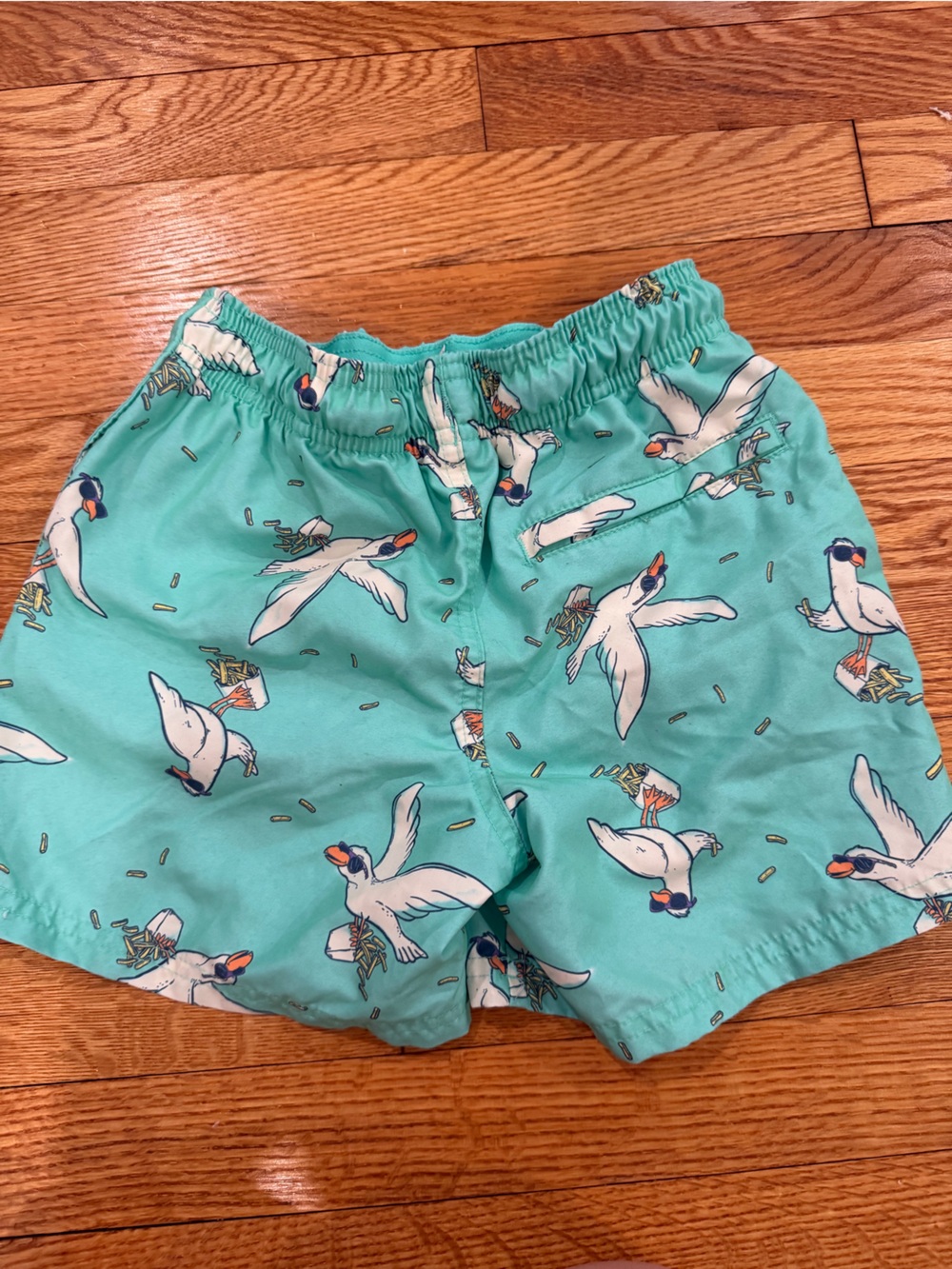 Cat & Jack Seagull Boys Bathing Suit Like New Size Medium (8)